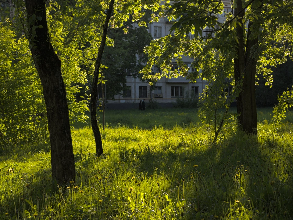 daytime nostalgic urban landscape