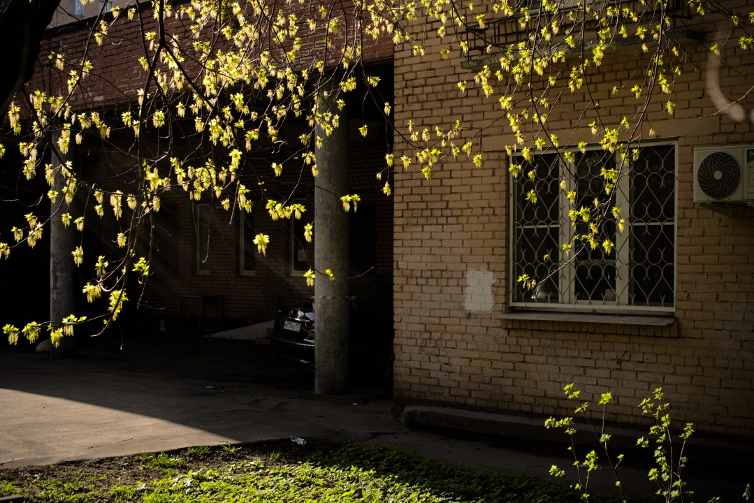 daytime nostalgic urban landscape