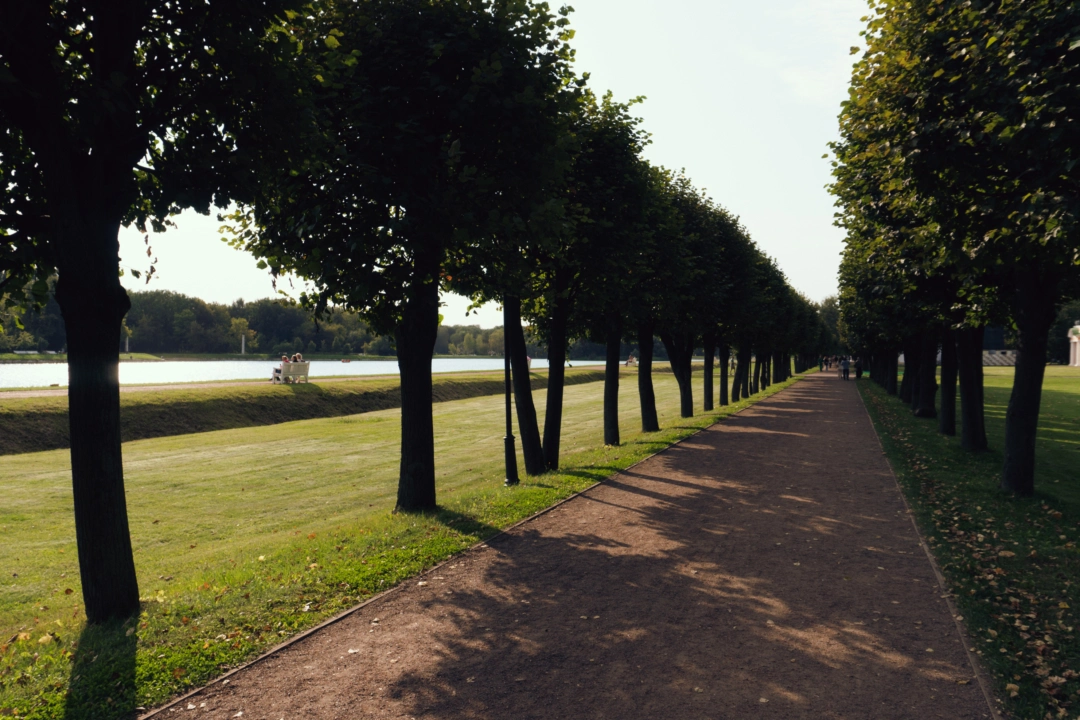 daytime nostalgic urban landscape